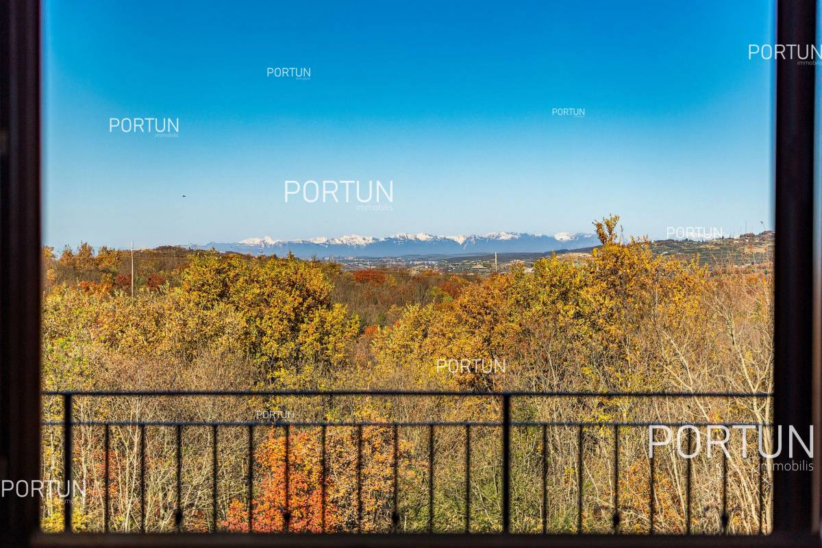 House with 2 apartments in Istria close to the Slovenian border - 20880 018x