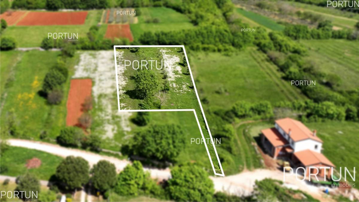 Land for sale in Istria z729  05