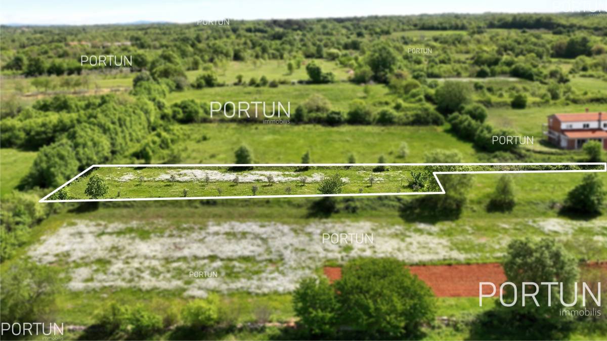 Land for sale in Istria z729  06