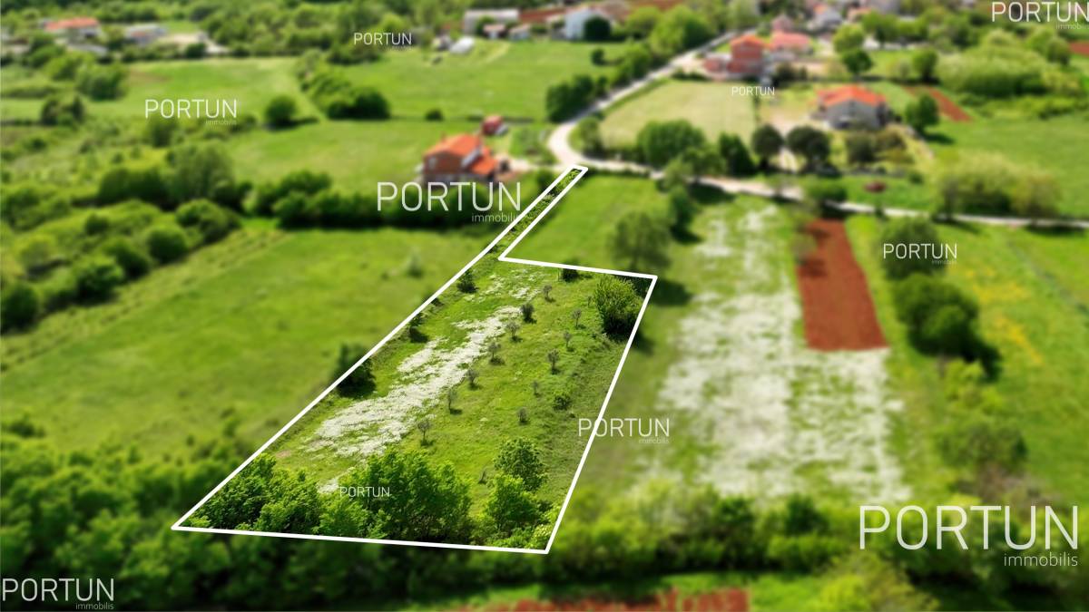 Land for sale in Istria z729  07