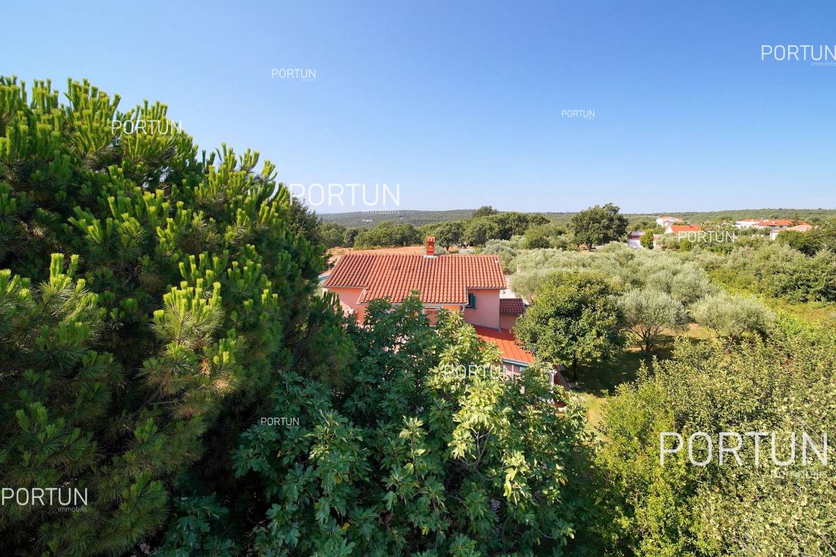 House with 3 apartments and open seaview close to the eastearn seabourne of Istria - 20787 006