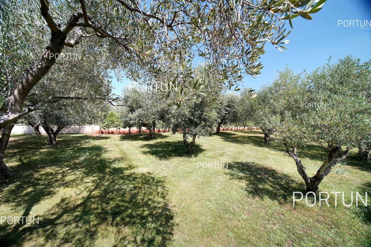 House with 3 apartments and open seaview close to the eastearn seabourne of Istria - 20787 008