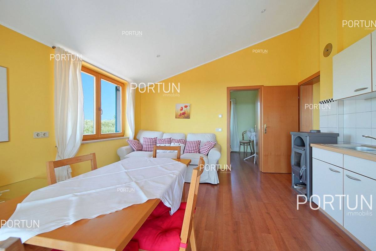 House with 3 apartments and open seaview close to the eastearn seabourne of Istria - 20787 036