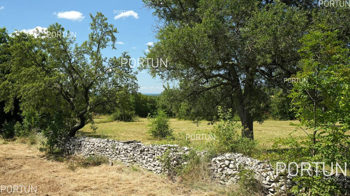 Land for sale Barat B 008