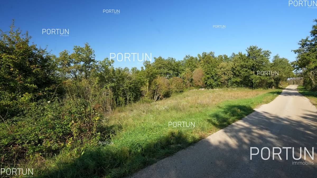 Building land for sale Istria Z0754 004