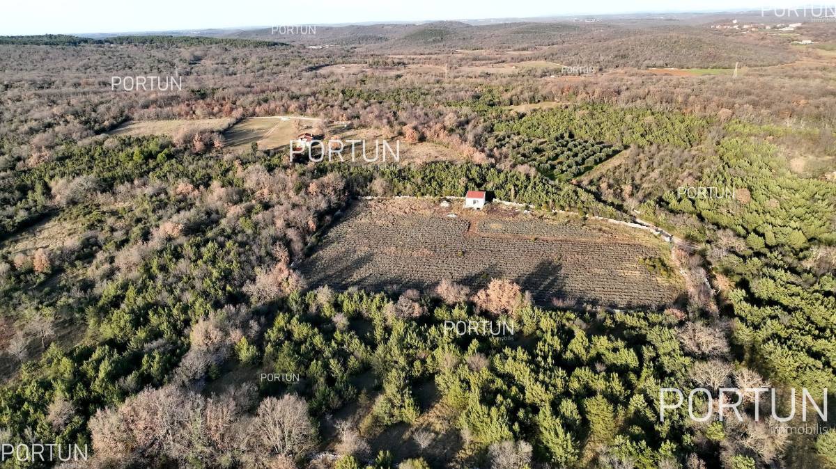 For lovers of nature, agriculture near the sea, Rovinj and Istria - 40593 001