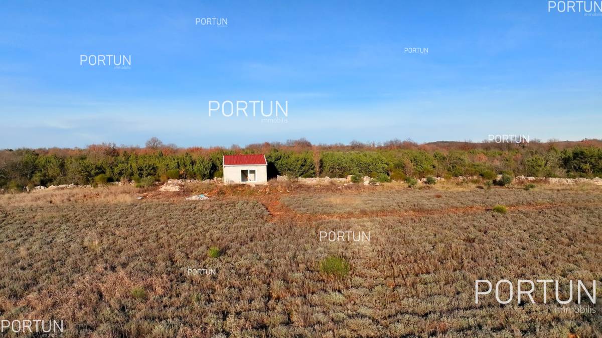 For lovers of nature, agriculture near the sea, Rovinj and Istria - 40593 003
