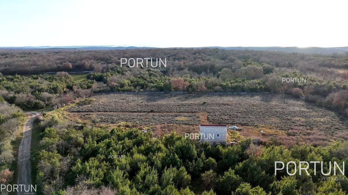 For lovers of nature, agriculture near the sea, Rovinj and Istria - 40593 006