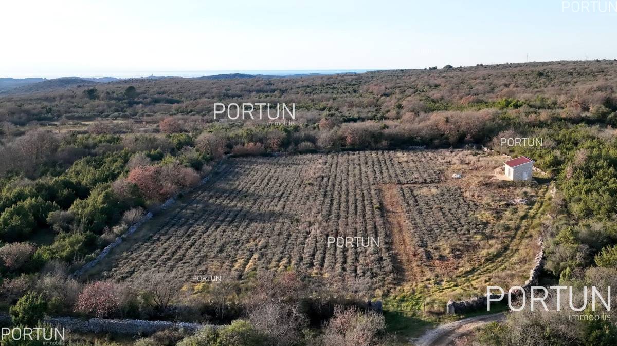 For lovers of nature, agriculture near the sea, Rovinj and Istria - 40593 007