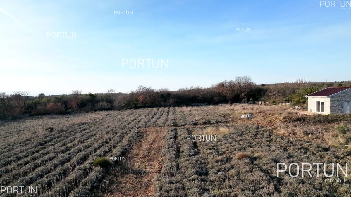 For lovers of nature, agriculture near the sea, Rovinj and Istria - 40593 008