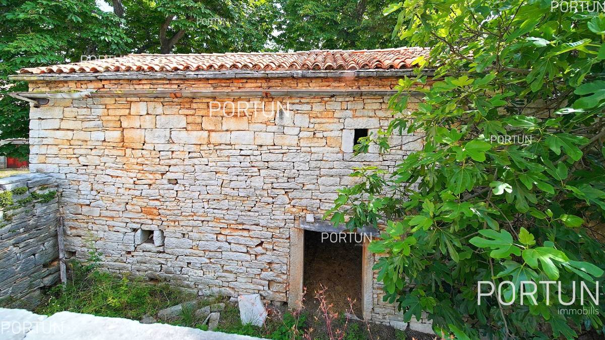 Old stone complex of houses in the beautiful hinteland of Istria - 20881 010