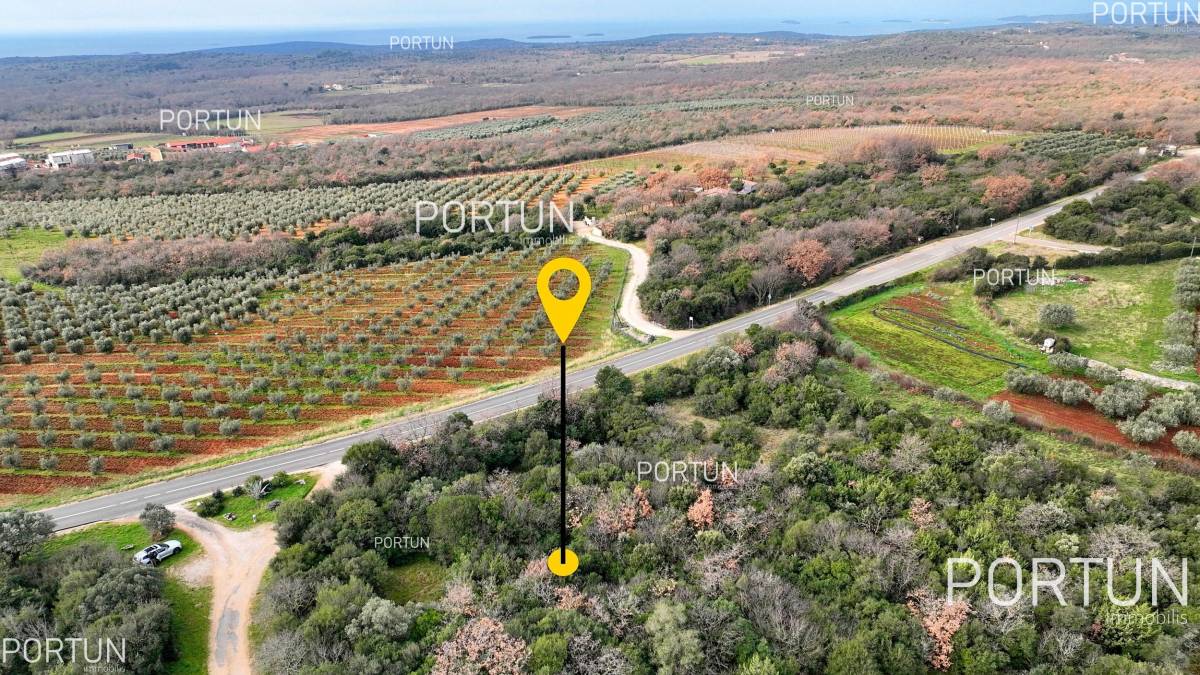 Land with seaview close to Bale, Istria - 40596 001
